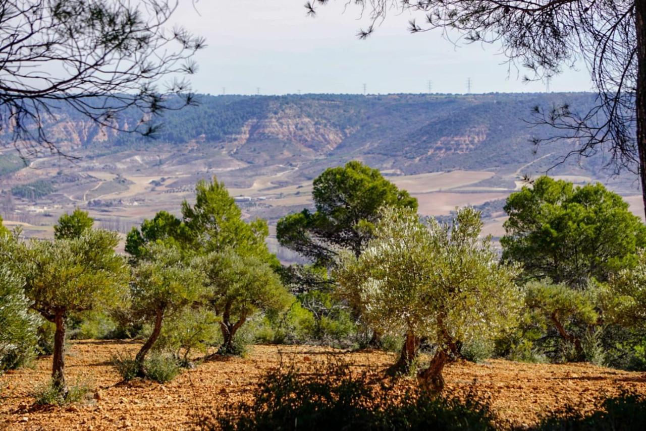 De Felipe Casa Rural Horche エクステリア 写真